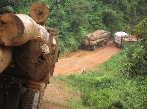 LoggingOff • Connecting civil society in timber producing countries